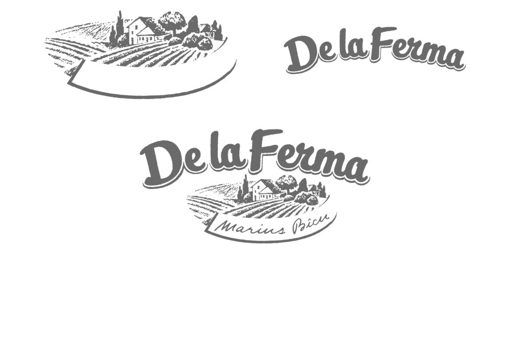 Wesemann Agency Braunschweig - Project - Branding - Logo sketch - DelaFerma